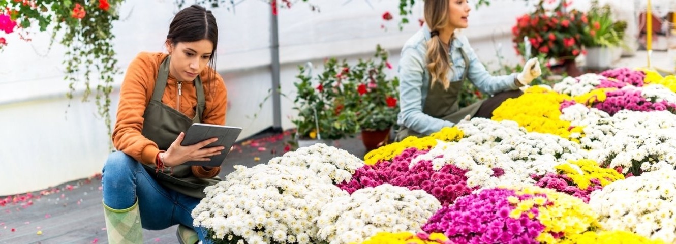 two women bent down working with colorful mums-woman working on laptop