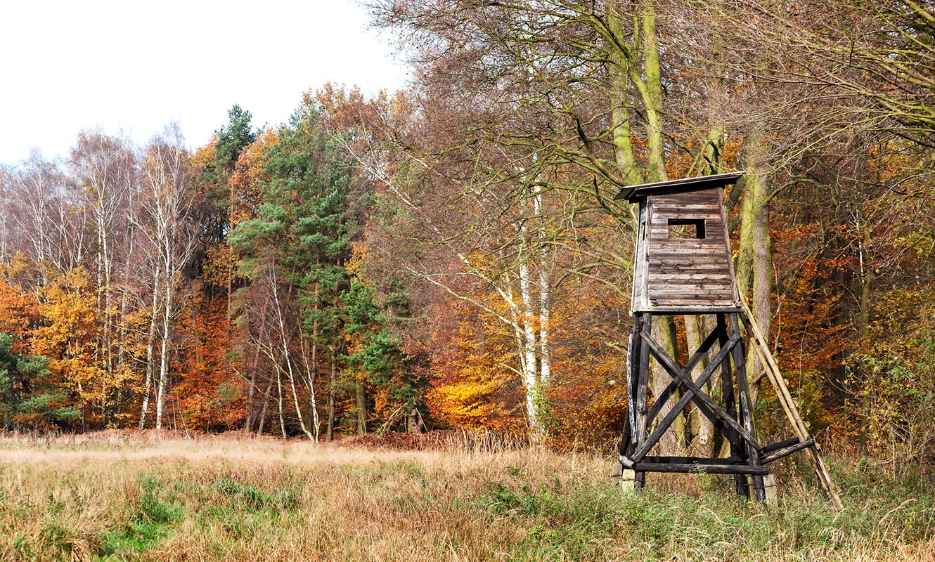 Tower in a field for watching birds